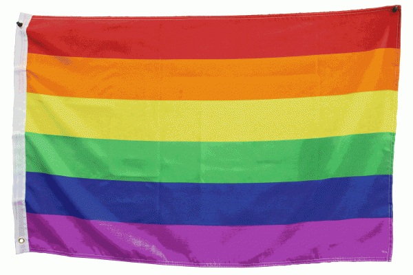 Regenbogenfahne CSD Fahne Pride Prade 150 x 250cm
