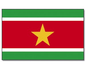 Surinam Stockflagge Flaggen Fahnen Stockfahne 30x45cm 
